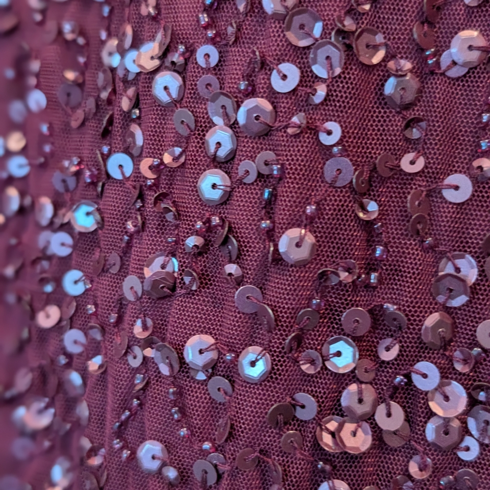 Adrianna Papell Wine Sequin Maxi Dress - Picture 9 of 9